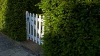 White gate in Yew hadge