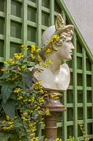 68 Kensington Rd, Bristol ( Gren Johnson ) Small town garden, packed with plants in pots.classical style bust