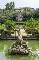 Giardino di Boboli ( Boboli Gardens ), Florence, Italy. Sixteenth century Medici Garden at Palazzo Pitti, the 'isolotto', a large oval pool and 'lemon island', statue of Andromeda
