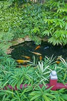 Beechwell Garden ( Tim Wilmot ), Bristol, UK. Exotic town garden with architectural, sub tropical planting around pond
