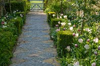Stone House, Glos., UK ( Lukas ) Tulips edging ornate paved path