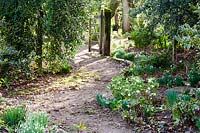 Sherborne Garden, Litton, Somerset ( Southwell ). Early spring garden, path in woodland garden leading to gate