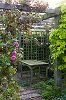 Wellfield Barn, Wells, Somerset, UK ( Nasmyth ) shady pergola with vines and roses,( PR available )