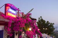Small restaurant with Bougainvillea in Kas, South West Turkey
