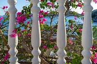 view through ballustrades with Bougainvillea flowers