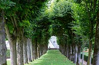 Chateau Villandry, Loire Valley, France, the Lime tree alley or avenue