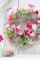 Cyclamen wreath