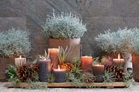 Winter candles