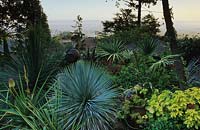 Private garden San Francisco Design Roger Raiche Succulents and palms in evening light on hillside above the Bay