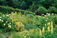 Hadspen House garden Somerset the Yellow herbaceous borders in summer Lupins Roses Cortaderia Sandra Nori Pope