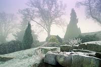 RHS Wisley Surrey Conifers and rock garden covered in winter frost