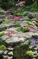 Chelsea Flower Show 1994 Design Peter Tinsley Alpine rock garden