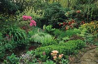 Cobblers Sussex Bog garden with astibes etc