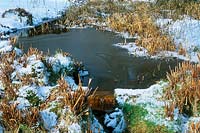Partially frozen pond in winter