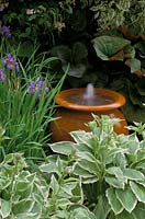 Terracotta pot water feature with fountain in border Variegated Hostas and Iris siberica