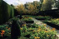 Old Place Farm Kent parterre with boxwood hedge and topiary pot marigold Calendula officinalis stand of Malus Golden Hornet york