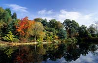 The Dingle Powys Wales conifers and deciduous trees on sloping hillside garden in autumn with large reflective pond at bottom