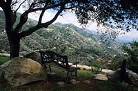 Mount Calvery Santa Barbara California bench under shady oak tree with view over surrounding hills