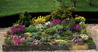 Chelsea FS 1993 Miniature Garden Company miniature garden with alpines and bonsai conifers