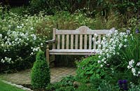 private garden Sussex wooden border seat in early summer Hesperis matronalis and Stipa gigantea