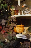 conservatory shelving with basket decoy duck and Vitis vinifera Purpurea