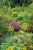 Iden Croft Herbs Kent herb garden summer