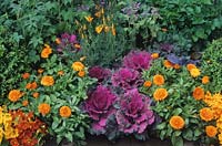 Chelsea FS 1995 Design Rupert Golby Kitchen garden with vegetables and flowers cabbage and calendula