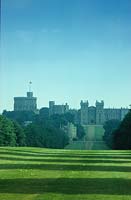 Windsor Great Park Berkshire the Long Walk with view of castle