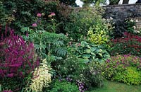 Bosvigo House Cornwall corner of walled garden with mixed colour themed border Lythrum Lady Sackville Melianthus major Hosta