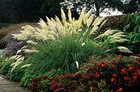 RHS Wisley Surrey herbaceous border in late summer pampass grass Cortaderia selloana Sunningdale Silver