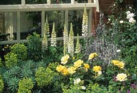 Chelsea FS design Andrea Parsons pastel colour themed mixed border by window Euphorbia Roses Lupins Rosemary