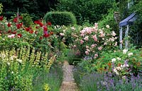 cottage garden with roses and lavender