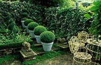 Private garden London Design Jonathan Baillie Shady walled garden Boxwood topiary spheres in blue painted containers Buxus sempe