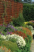 RHS Wisley Surrey colour stained trellis above row of Helianthemums in raised bed