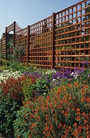 RHS Wisley Surrey colour stained trellis above row of Helianthemums and Violas in raised bed