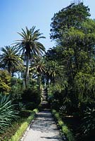 Tresco Abbey gardens Isles of Scilly the approach path to the Neptune steps with exotic tender trees and plants