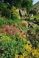 Bryn y Bont North Wales steeply sloping garden in mountainous region Rock outcrop wth water cascade dicentras and primulas