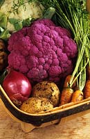 trug with recently harvested vegetables including Cauliflower Brassica Velvet Queen