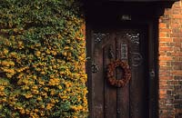 Christmas decorations pine cone wreath on front door with Pyracantha Soleil d Or