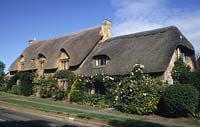 The Cottage Gloucesteshire thatched cottage in summer with front garden
