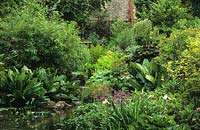 Mill Cottage Sussex natural stream fed pond with marginals