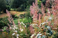 Tilford Cottage Surrey Maclaya microcarpa Kelway s Coral Plume with general view or garden through to river