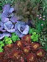 Chelsea Flower Show 1994 design Rupert Golby kitchen vegetable garden detail cabbages lettuce fennel