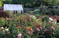 La Seigneurie Sark Isles of Scilley Formal walled rose garden with paths and boxwood hedge edging glasshouse