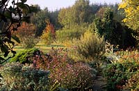 Eastgrove Cottage garden nursery Worcestershire in autumn Ceratostigma willmottianum view of borrowed landscape