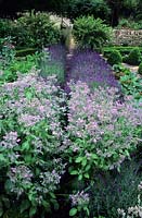 Rosemary Verey Barnsley House Gloucestershire Potager Kitchen herb vegetable garden borage and Lavender either side of path
