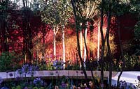 Chelsea flower show 2008 design Cleeve West red orange painted garden wall with white birch trees black bamboo and wooden path