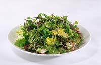 simple green lettuce salad using vegetable seedlings including Beet Radish Rocket Dill Swiss Chard Broccoli Spinach summer