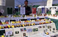 West Dean Sussex Apple day exhibition of Paul Barnett s fruit and trees