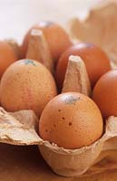 Clarence Court free range organic egg Old Cotswold Legbar whole egg in egg box
